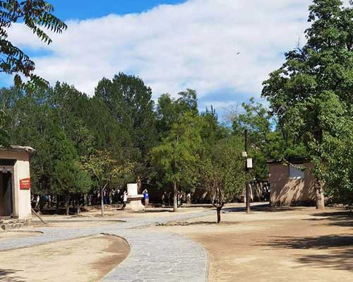 xbp3312.jpg